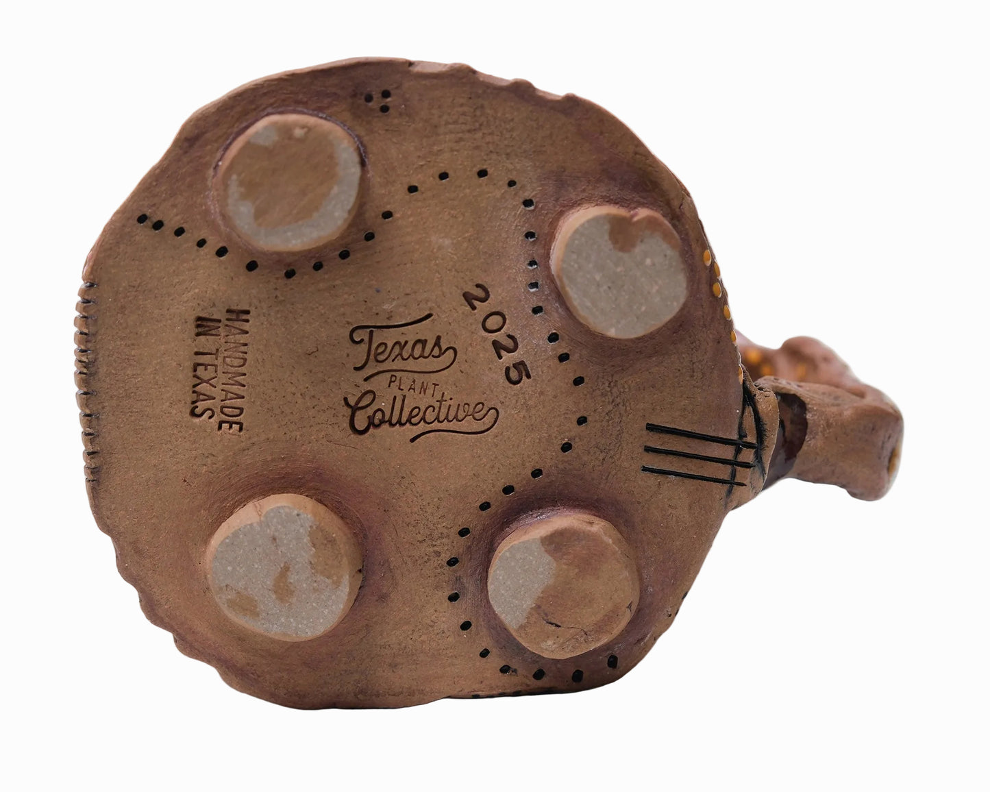 Bottom of ceramic mug with four feet. Branded with Texas Plant Collective and Handmade in Texas with the date 2025.